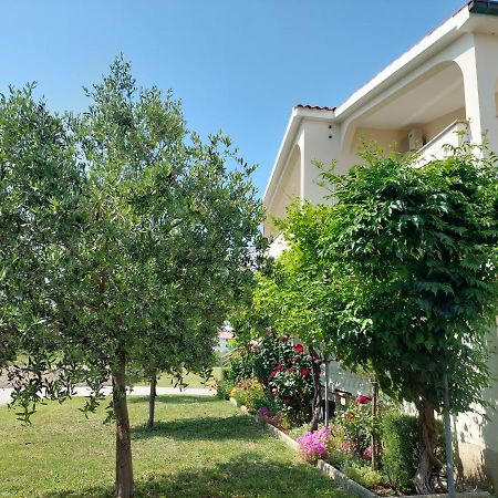 Apartments Vlašići Dış mekan fotoğraf